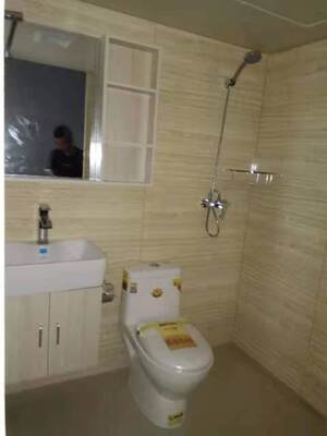 방수 SMC 욕실 벽 세트 일체형 SMC 몰딩 욕실 벽 패널